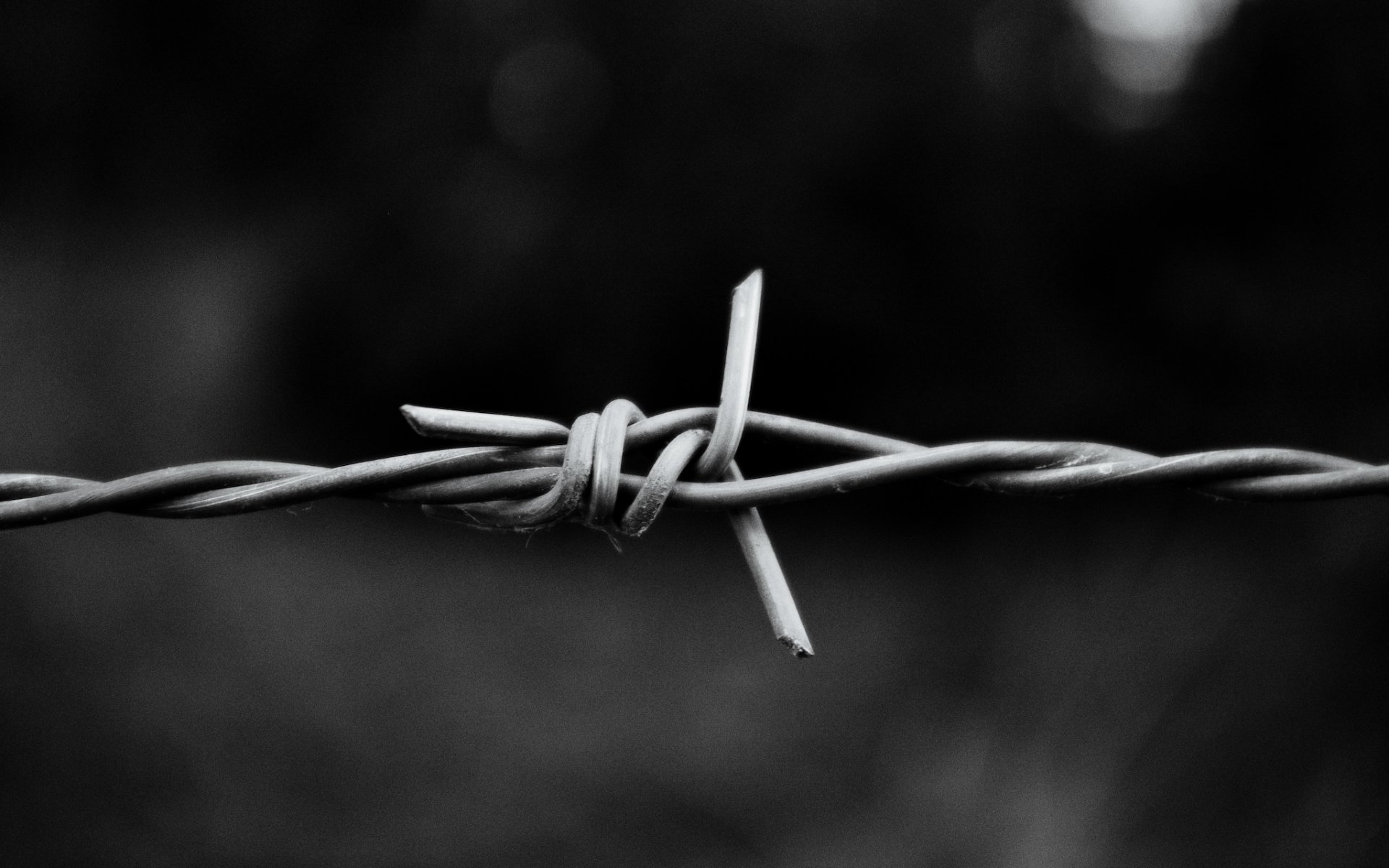 barbed wire close up aluminum