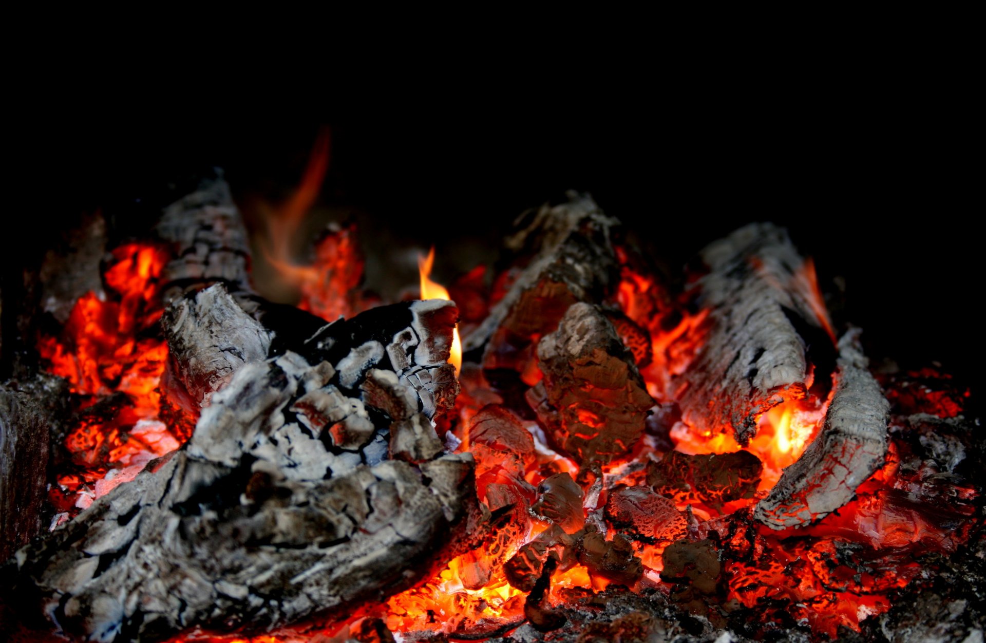 kohlen feuer verwesung temperatur