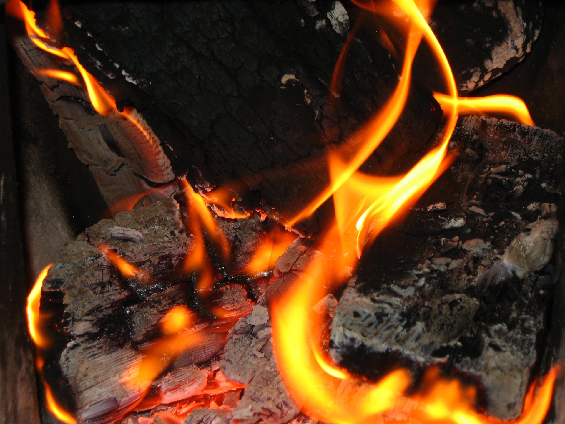 feuer brennholz lagerfeuer