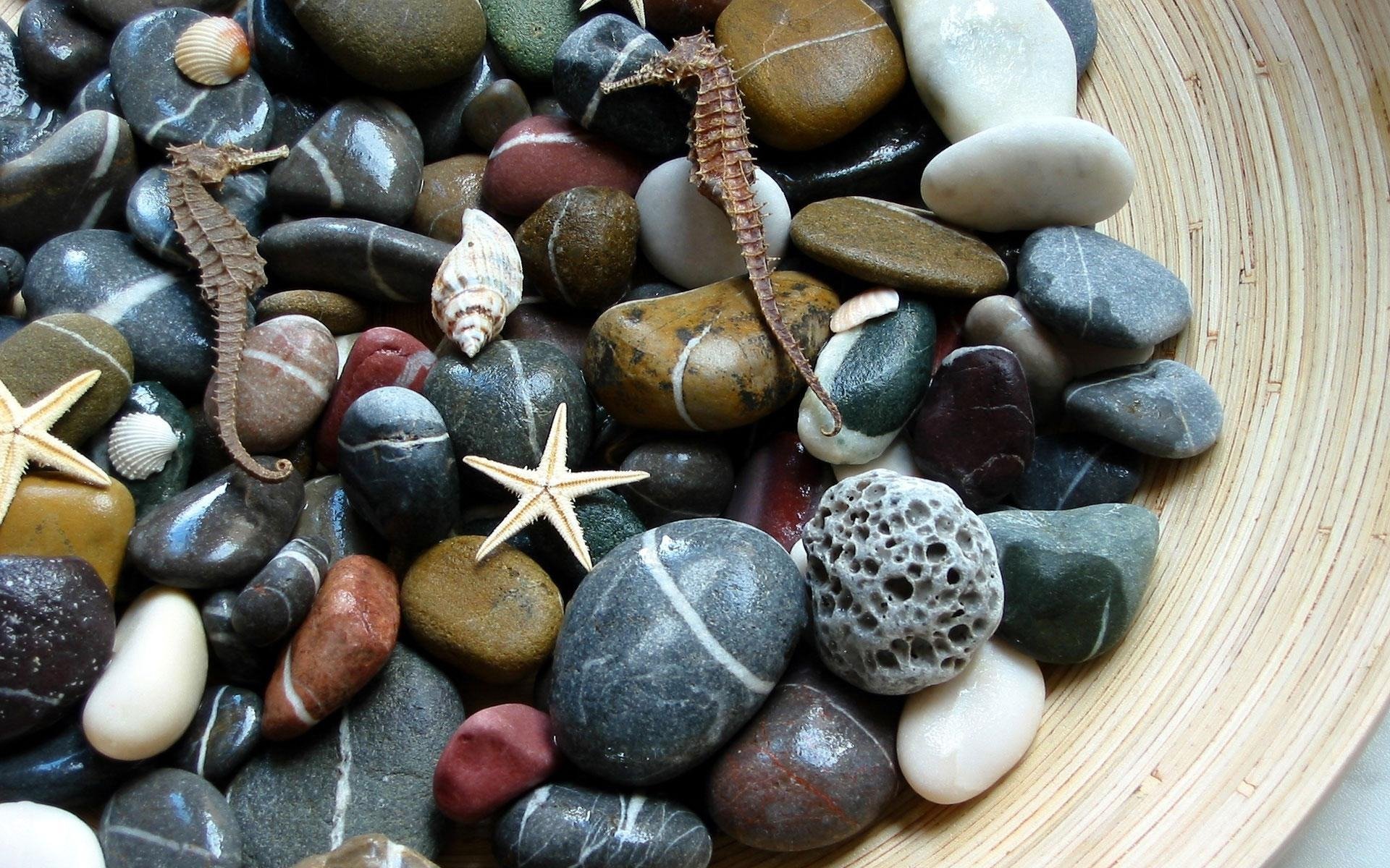 close up stones sea