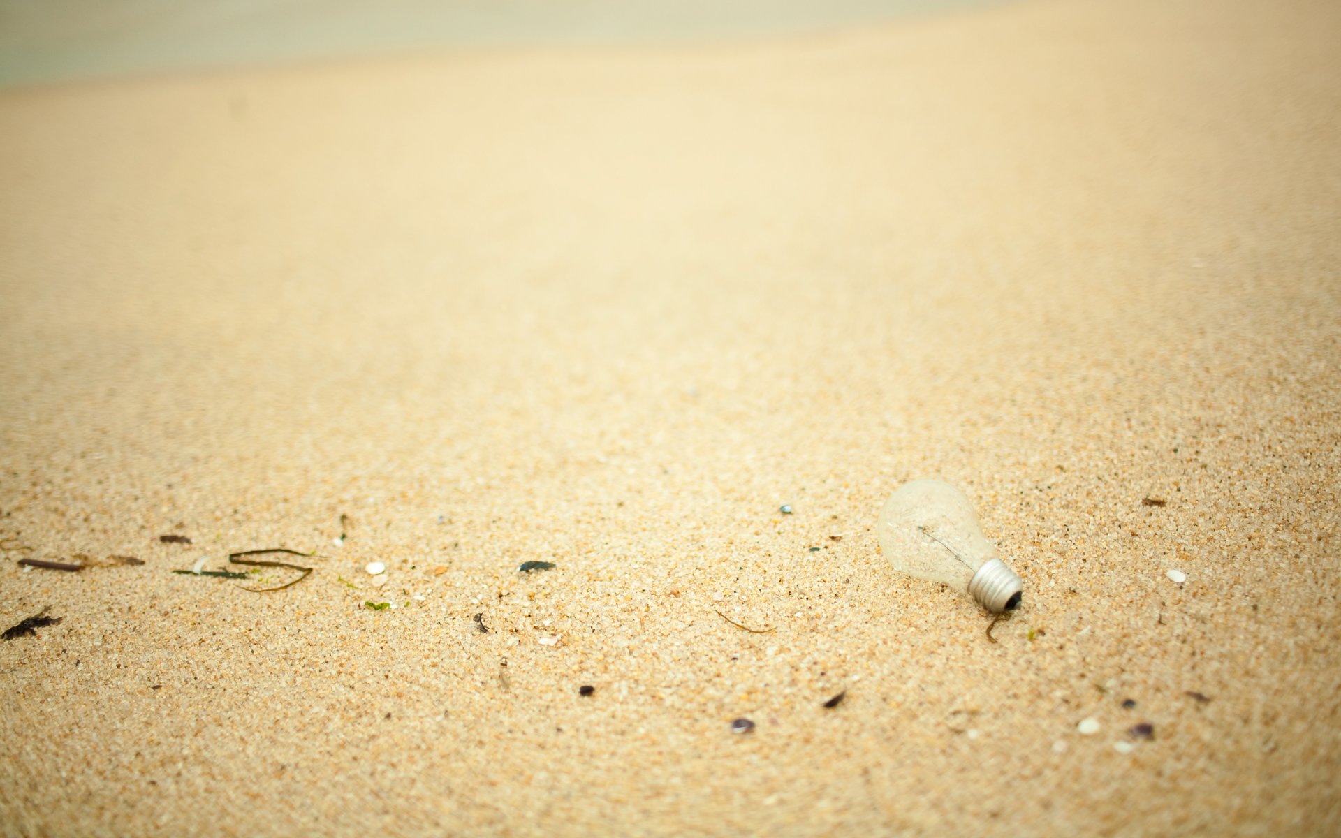 macro beach sand trifle lamp light bulb light shore grains of sand