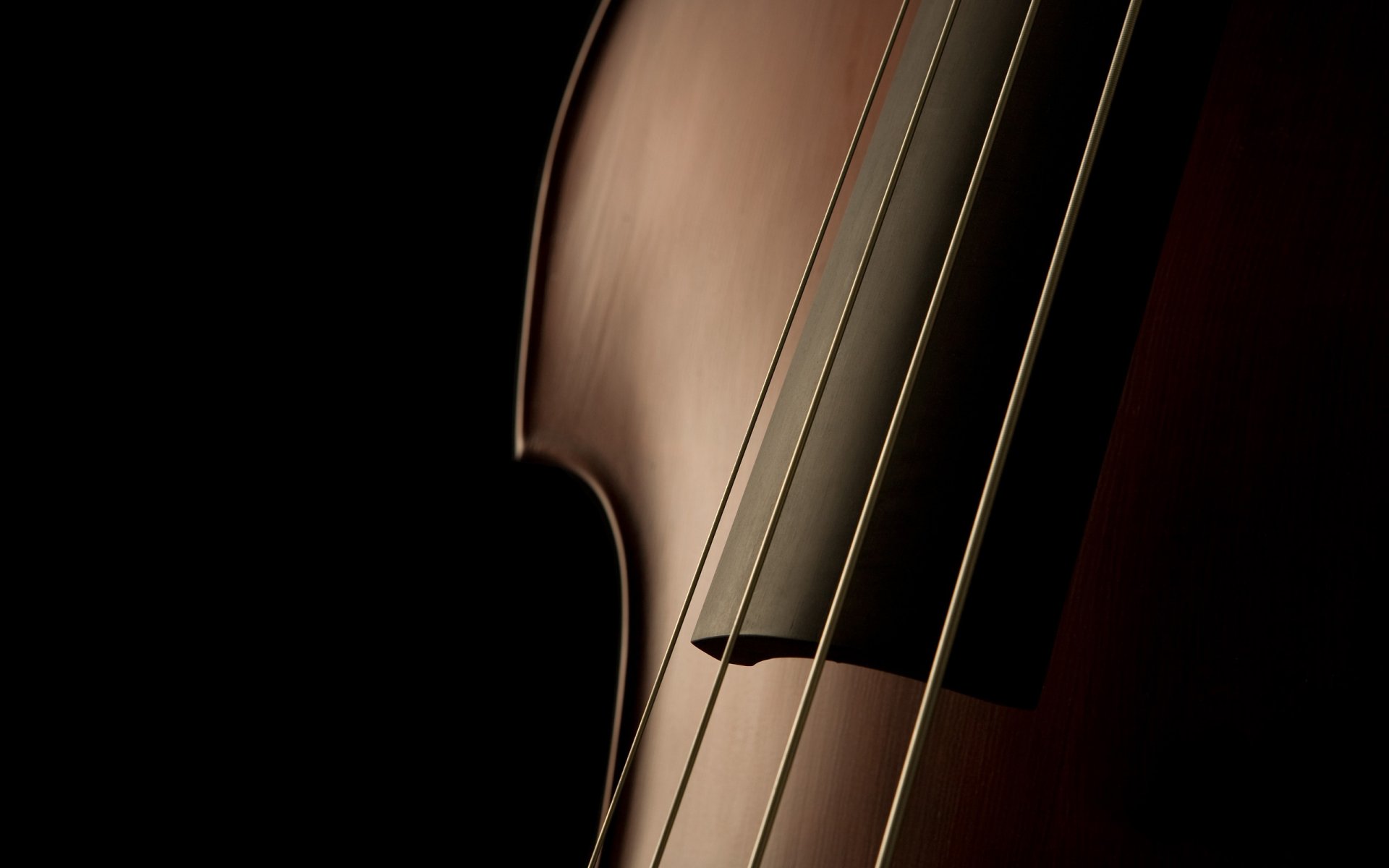 instrumentos musicales macro música fotos macro