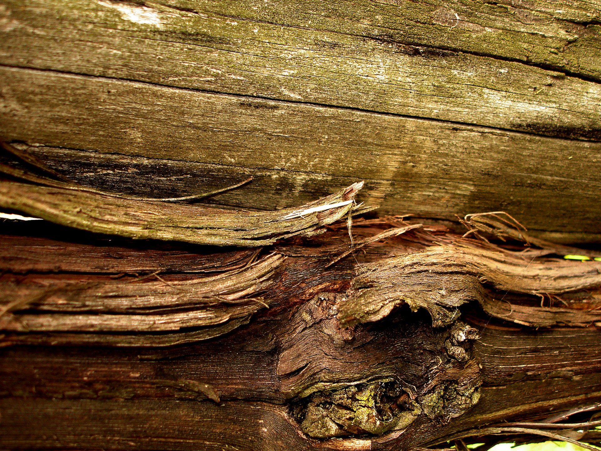 material holz hündinnen fasern