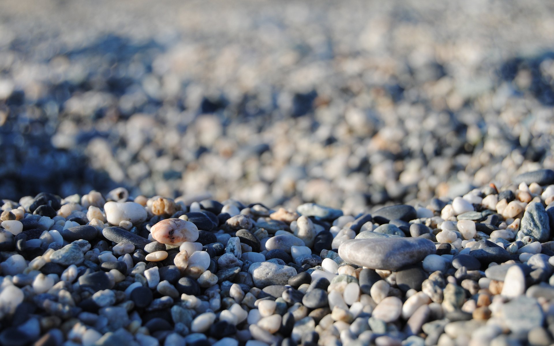 piedras muchas piedras mar