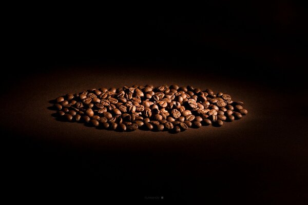 Coffee beans under a beam of light