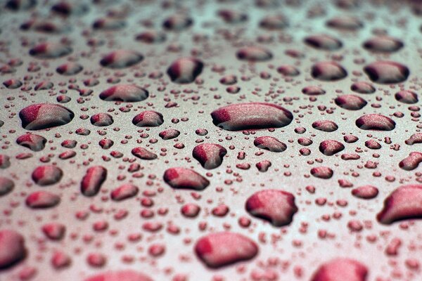 Gotas de buey en la superficie de color macro