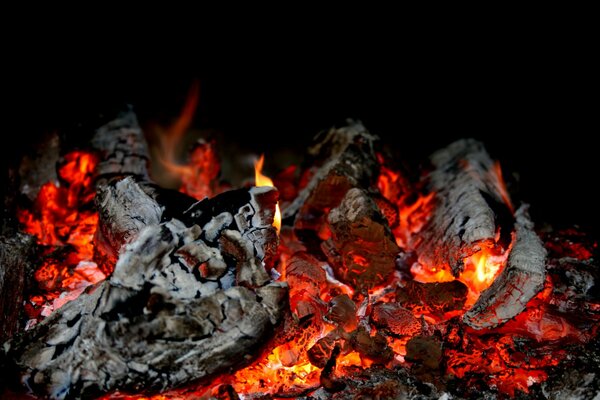 Schwelende und brennende Kohlen. Das Feuer