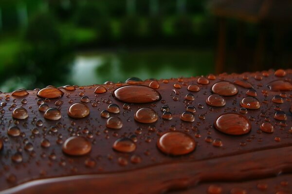 Gouttes d eau sur la balustrade brune