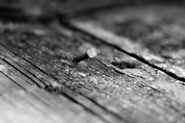 A nail sticks out of the cracked floor