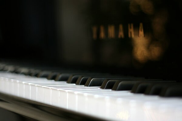 Macro photo of a luxury piano