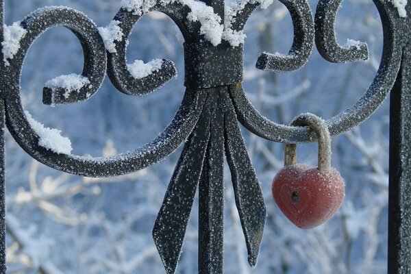 A frozen gate with a lock on a winter day