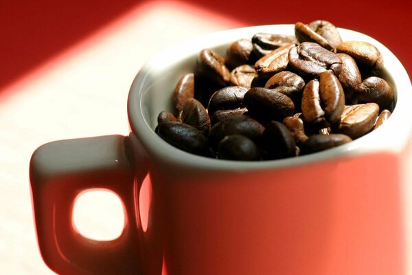 Roter Becher mit Kaffeebohnen gefüllt