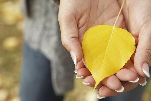 A yellow fallen leaf on the palm of a girl