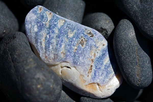 Macro photography rocks on the seashore