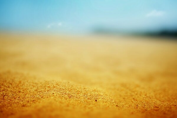 Journée chaude sur la plage de sable