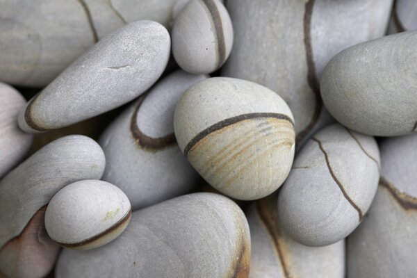 Cailloux gris pour l embellissement des parcelles de jardin