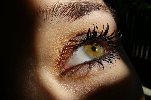 Long eyelashes and a heart-rending look of a brown-eyed girl