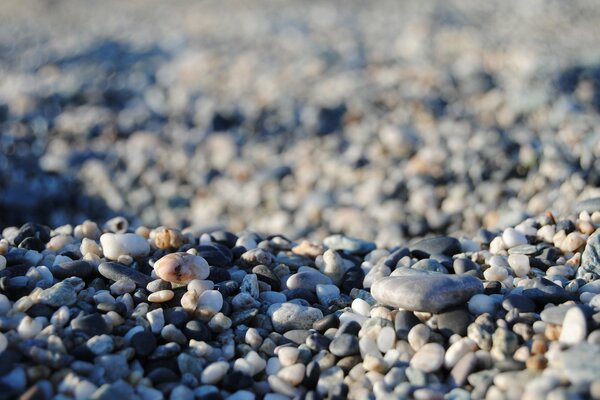 Viele Steine am Strand am Meer