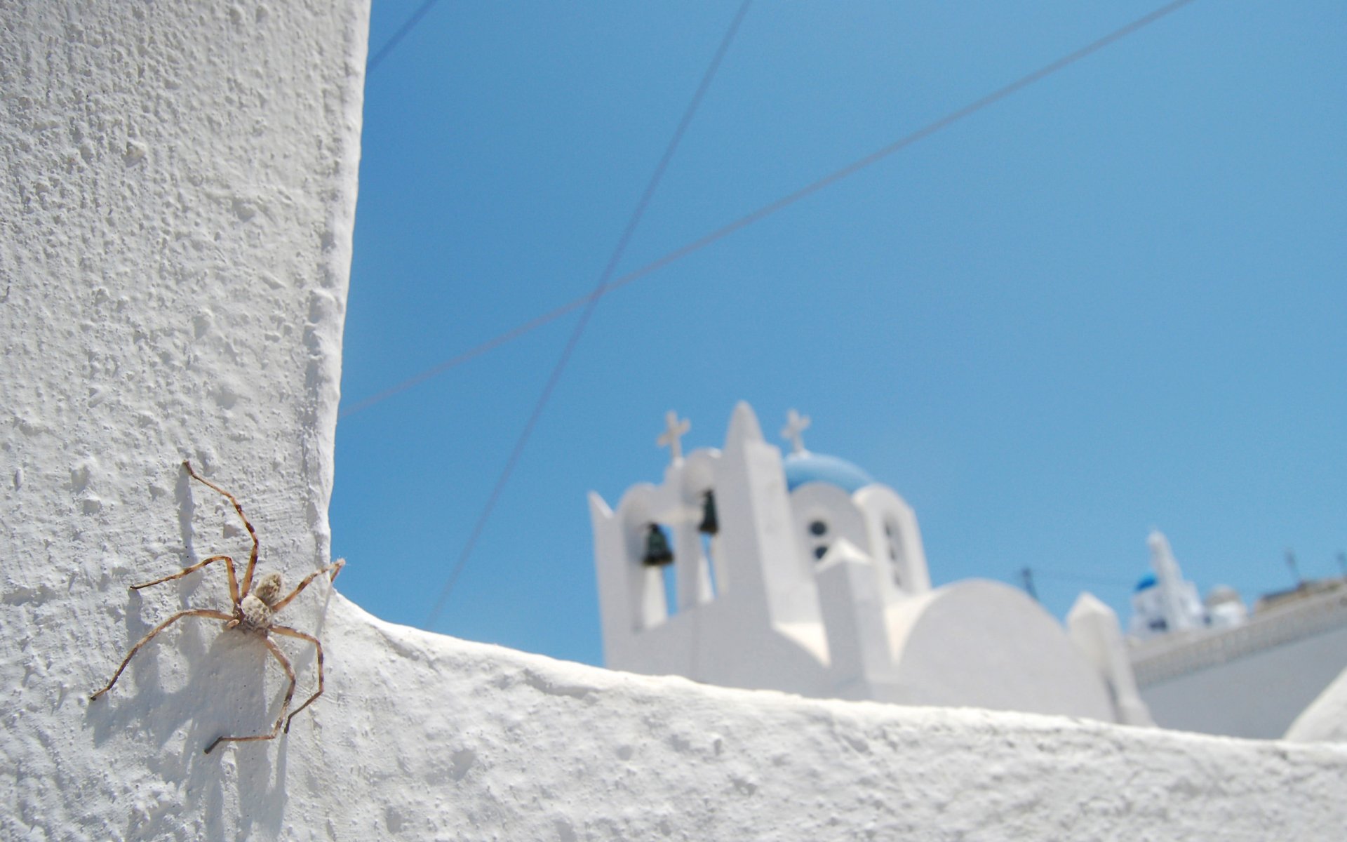 spinne kirche weiß blau himmel