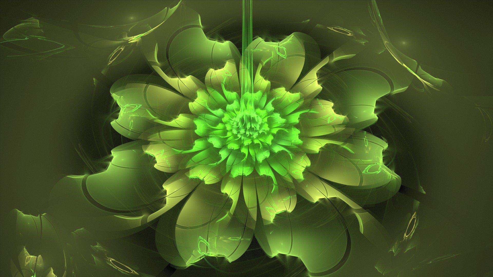 flower green abstract