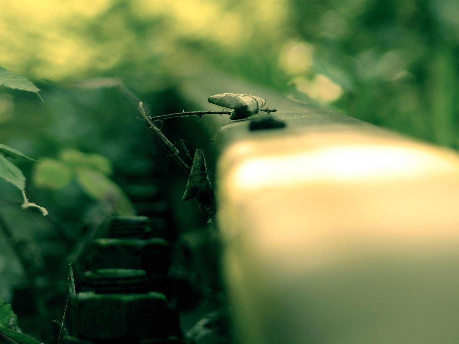 chemin rails prise de vue macro