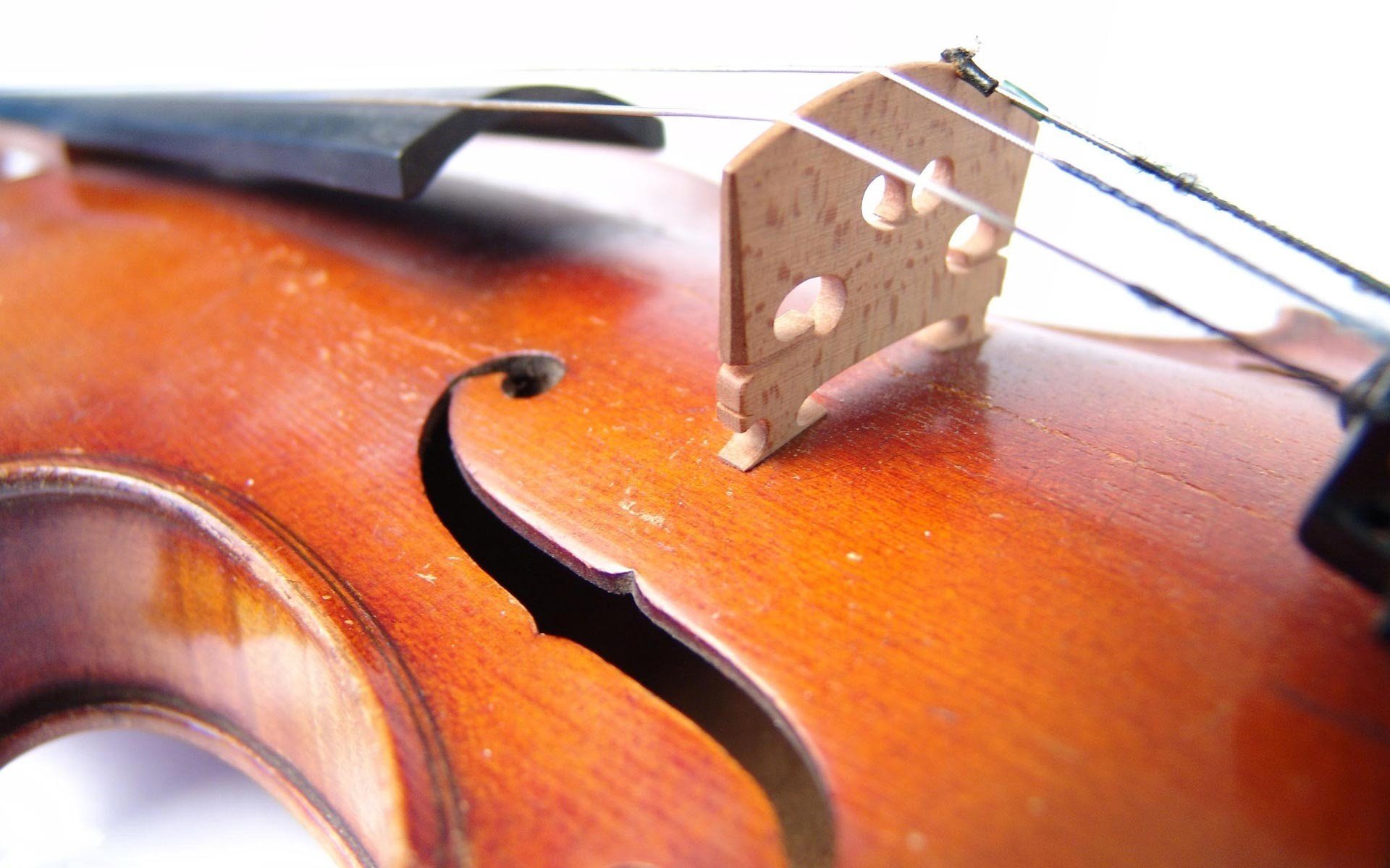 violino musica