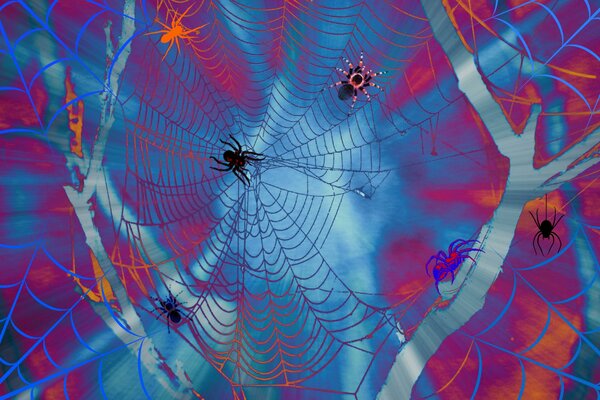 Blue webs with black spiders