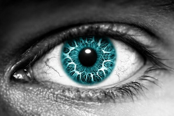 Fotografía en blanco y negro del ojo con el iris azul