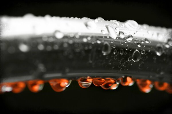 Red drops on a black and white photo