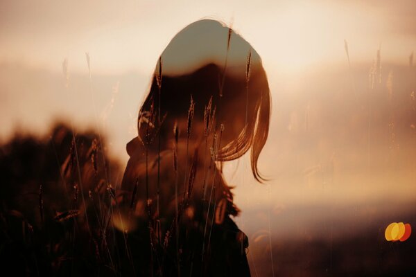 Photo composition : a girl in a field against a sunset background