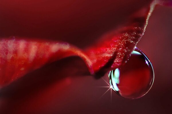 Macro shooting of a drop on a sheet