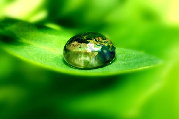 Rocío transparente en una hoja verde