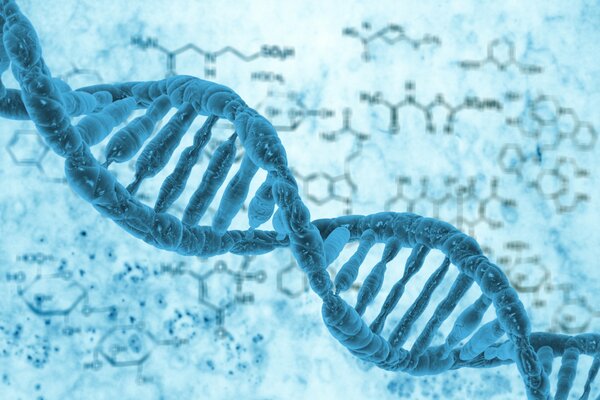 Bild der DNA-Struktur in Blau