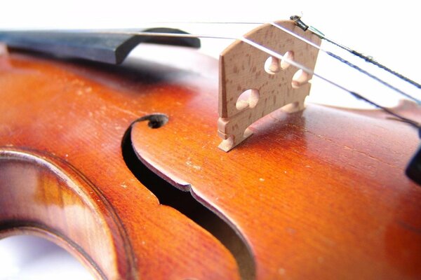 Gros plan des cordes de violon