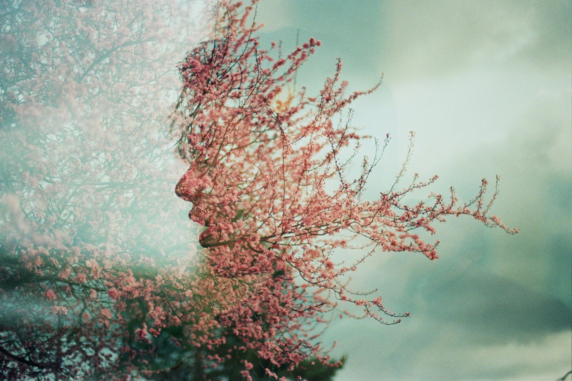 úna doppia esposizione viso albero fiori primavera