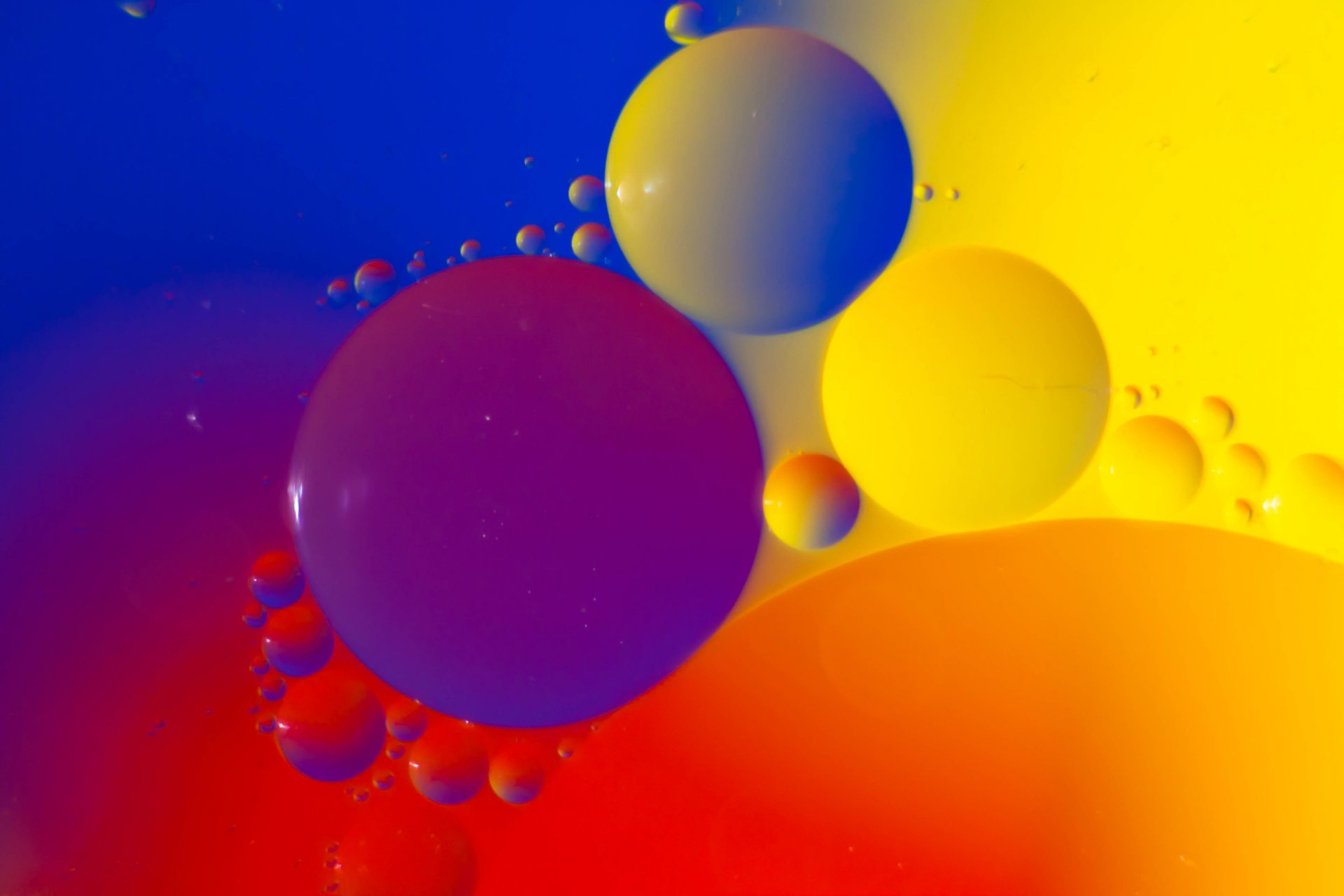 flowers light bubbles ball circle