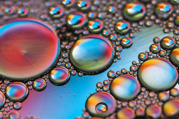 A large number of drops reflecting different colors