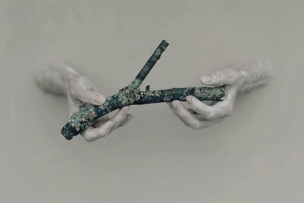 Hands holding a stick in the moss against a gray wall