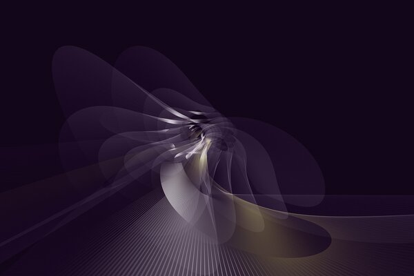 Purple lines and fractals, black background