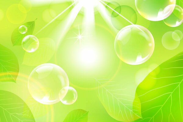 The bubbles are colorless against the background of green leaves in the rays of the sun