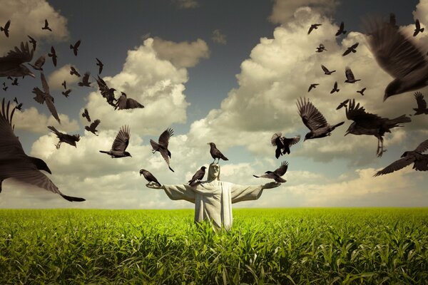 Statue auf einem Feld mit Vögeln am Himmel