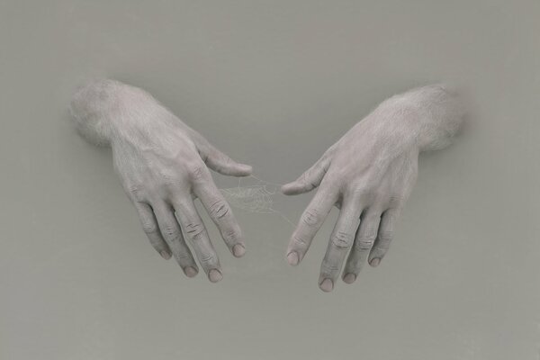 The web between the hands on a gray background