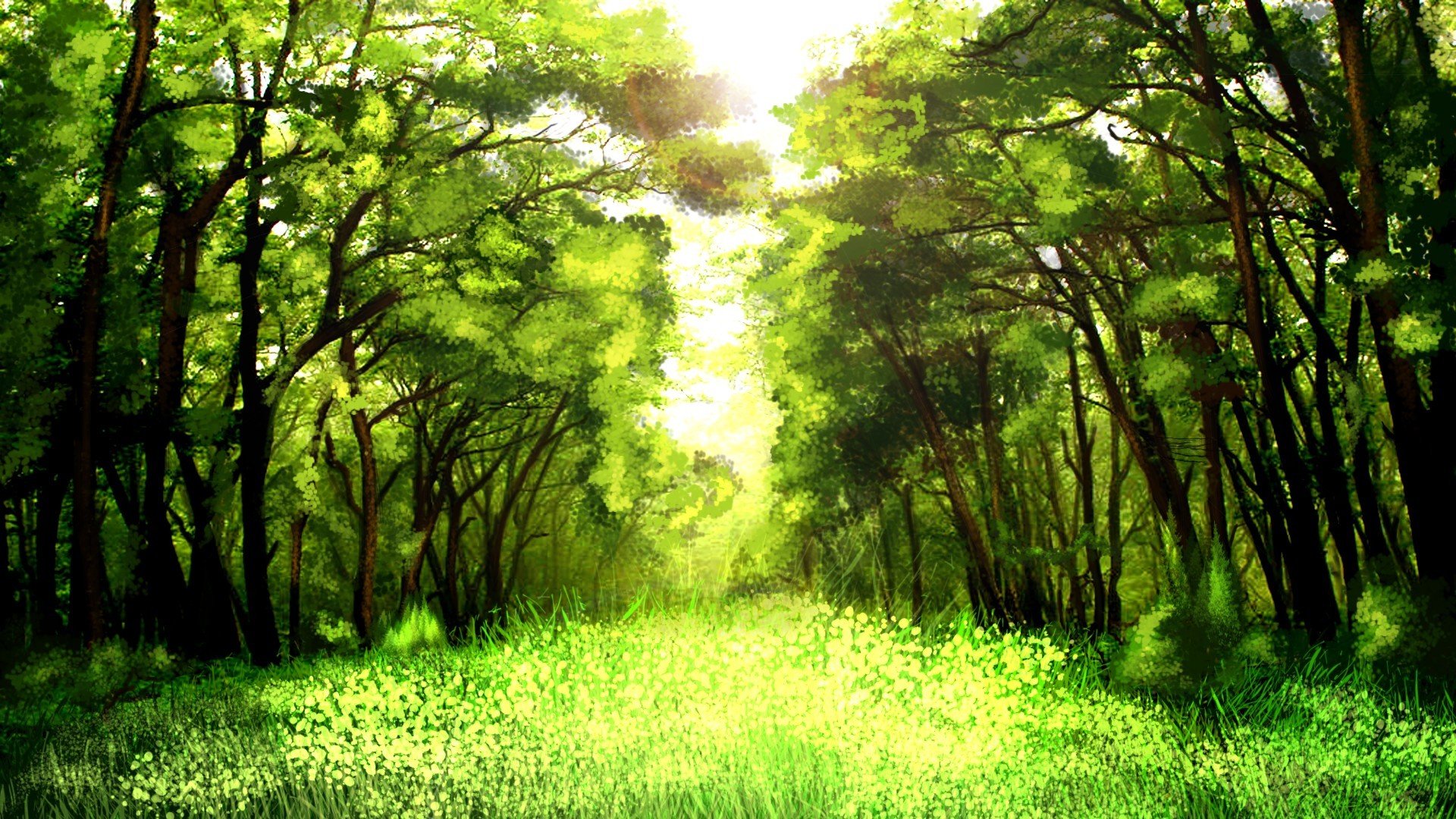 art forest nature green tree grass solar