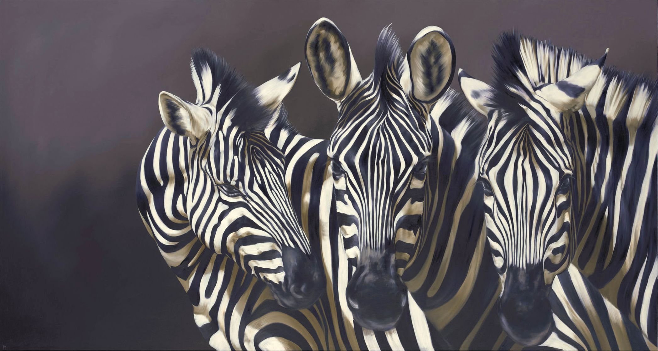 immagine arte robin yasmin animali zebra strisce museruola sfondo