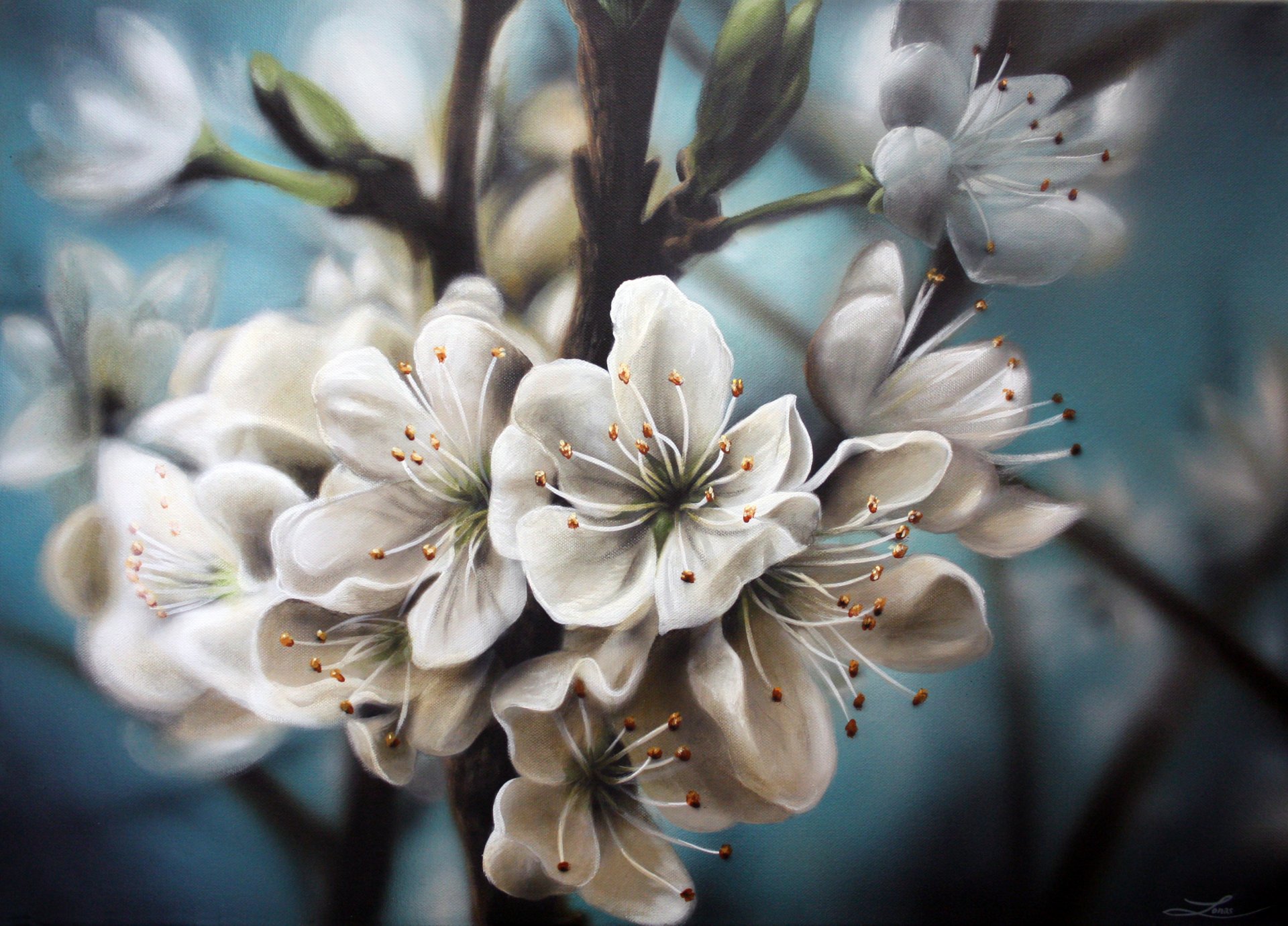 malerei natur blumen weiß zweige blüte apfelbaum