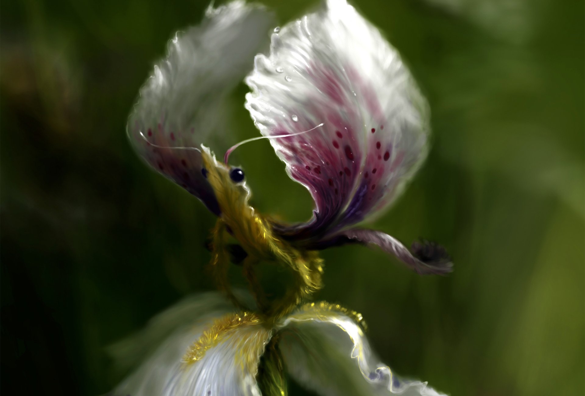 art fantaisie créature fleur iris pétales ailes