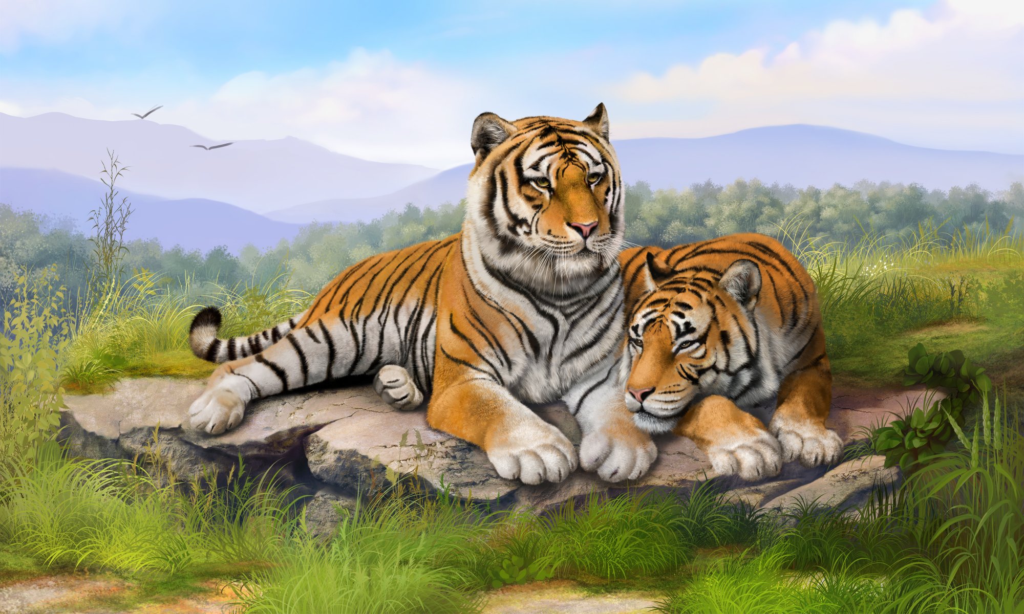 art olggah tigers grass stones lie painting