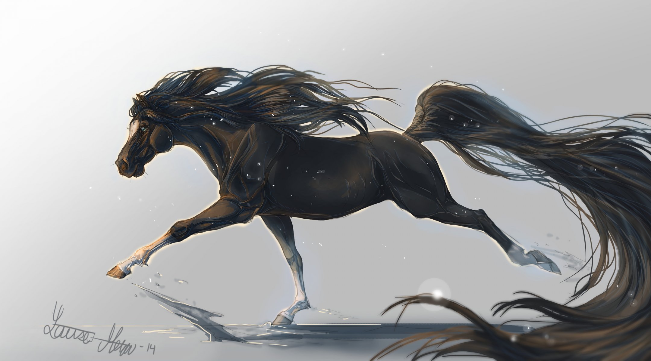 art horse horse animal hooves mane tail