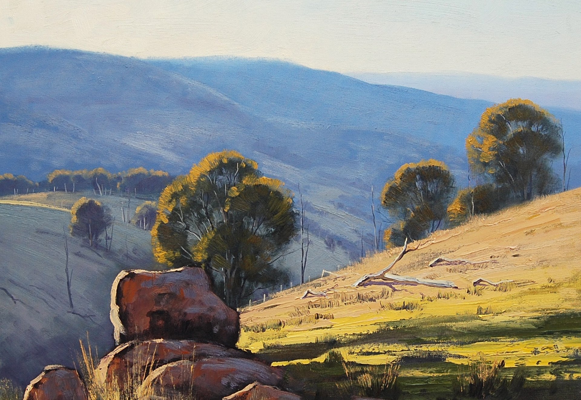 arte artsaus natura colline rocce australia alberi rami secco