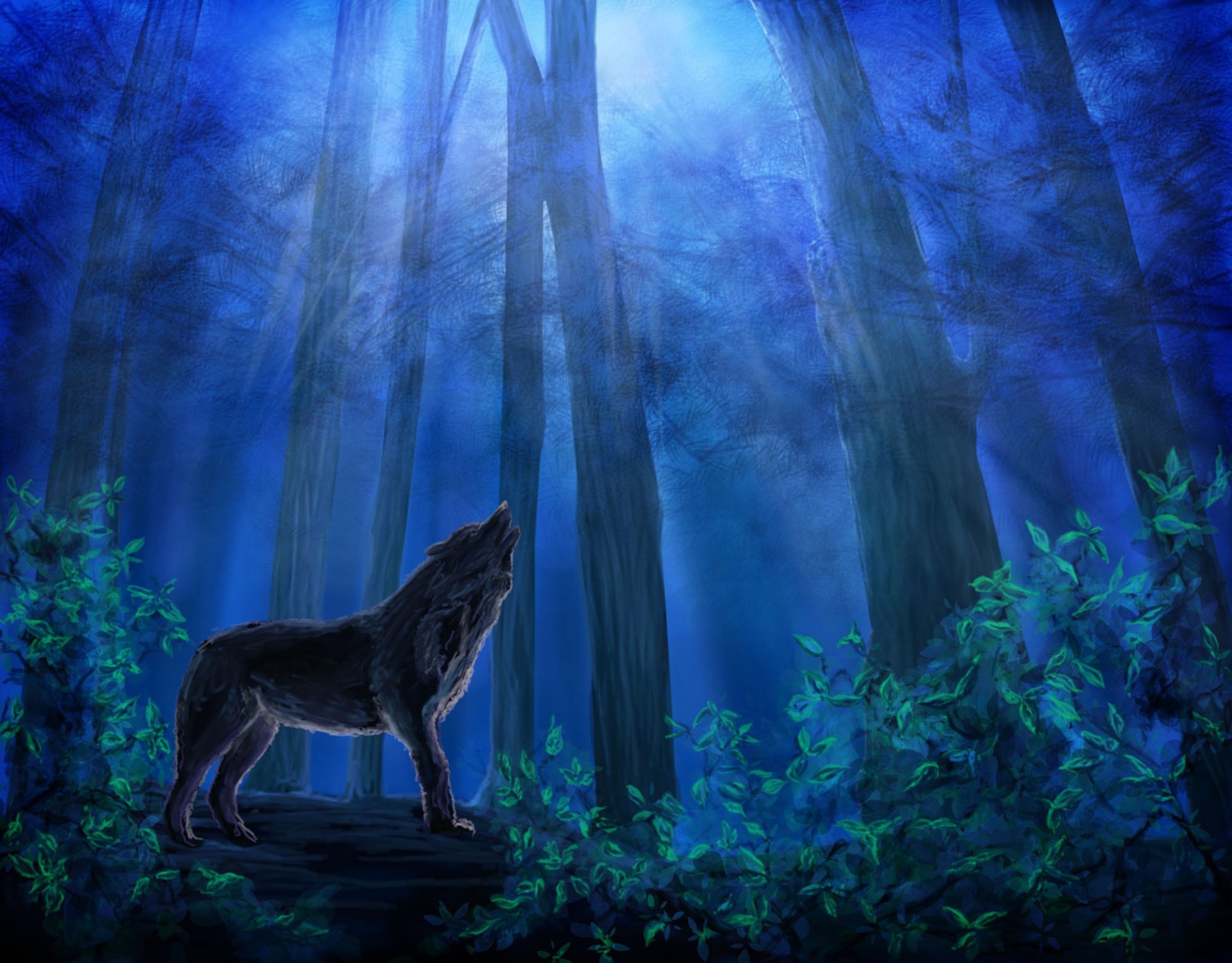 peinture loup animal prédateur nuit nune ciel bleu arbres feuilles forêt